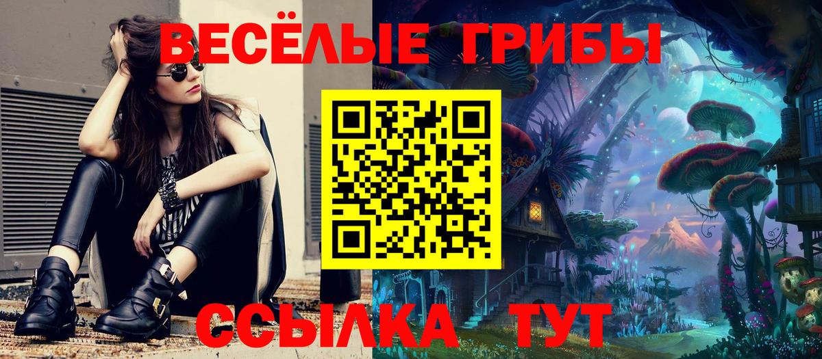 Галлюциногенные грибы мицелий Старая Русса